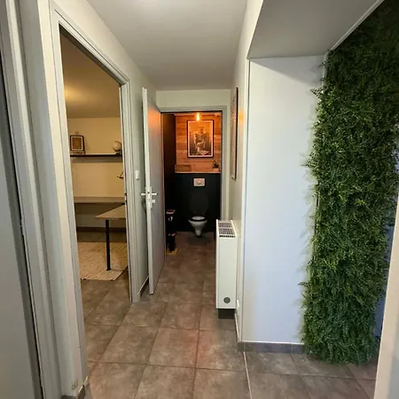 Apartman Duplex Premium Avec Terrasse A 5 Min Le Pal
